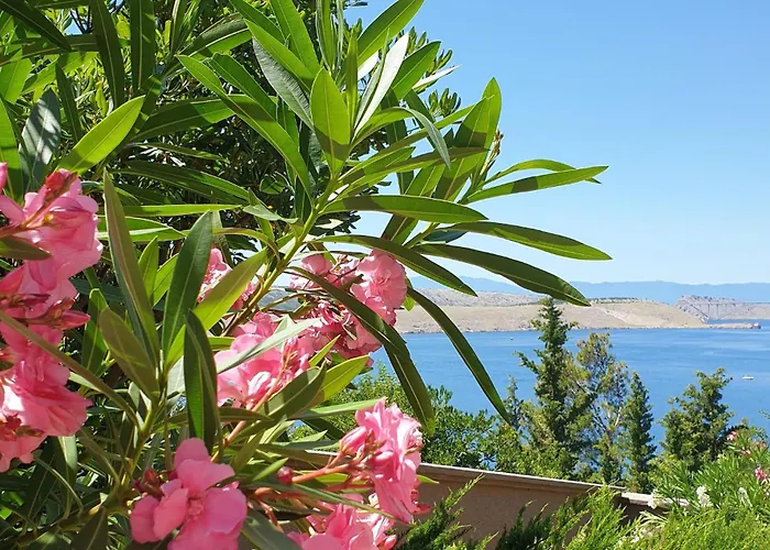 Ocean Front In *